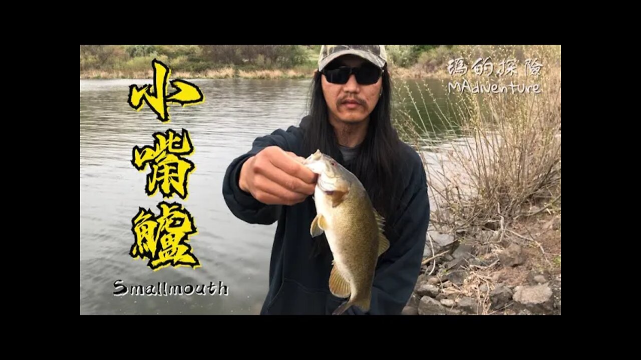 戶外探險 | 野溪釣小嘴鱸 分享如何分辨大嘴鱸魚和小嘴鱸魚 Bass Fishing- The Differences Between A Largemouth And Smallmouth Bass