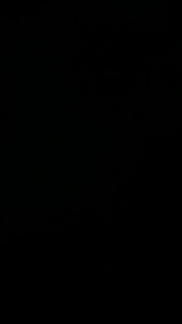 Ever eaten baby back ribs?