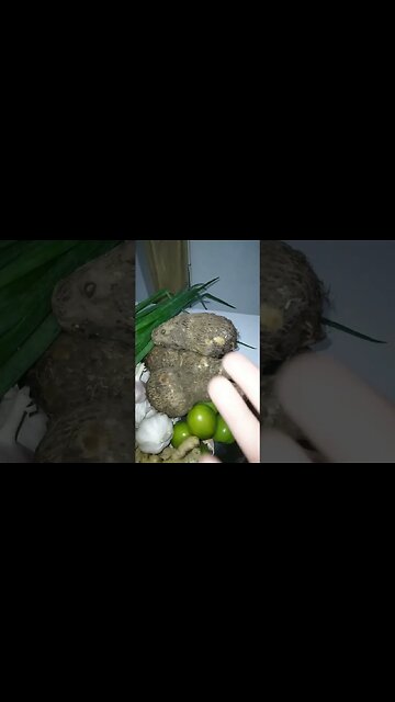 Lechon Baboy sembra Porcetto Sardo!!! #lechonbaboy #lechonpaksiw #porcetto #porchetta #roastpork