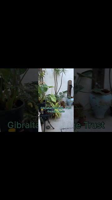 Garden Oasis Update: Clean Up after Wildfire Ashes Blew Over from Spain