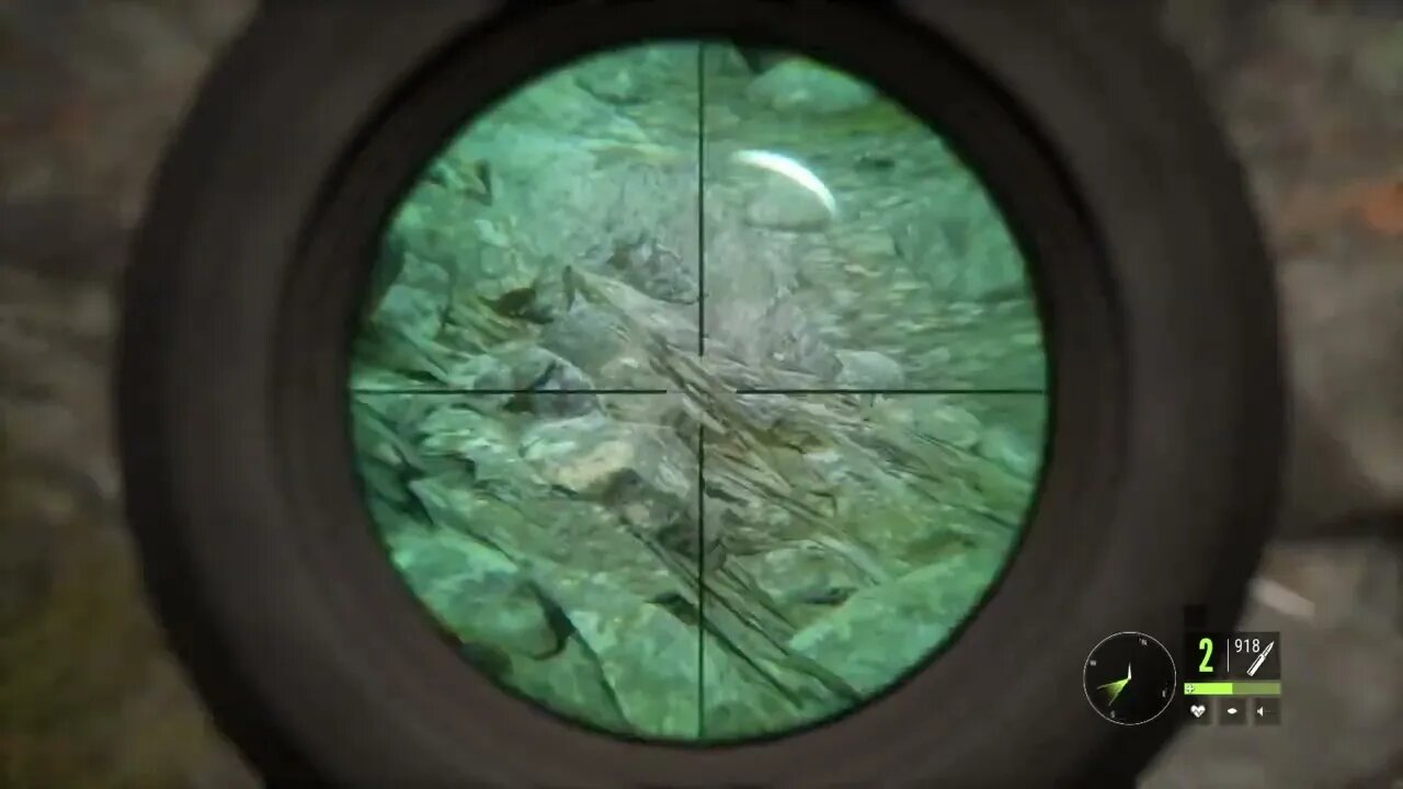 theHunter: Call of the Wild Chapter 64! Roosevelt Elk, White-Blacktail Deer and BlackBear! Again!