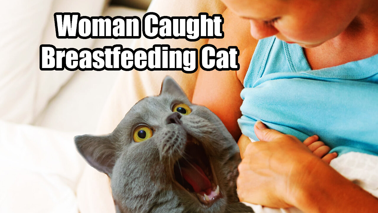 Woman Allegedly Breastfeeds🍼 Cat🙀 on Delta Airlines Flight✈✈