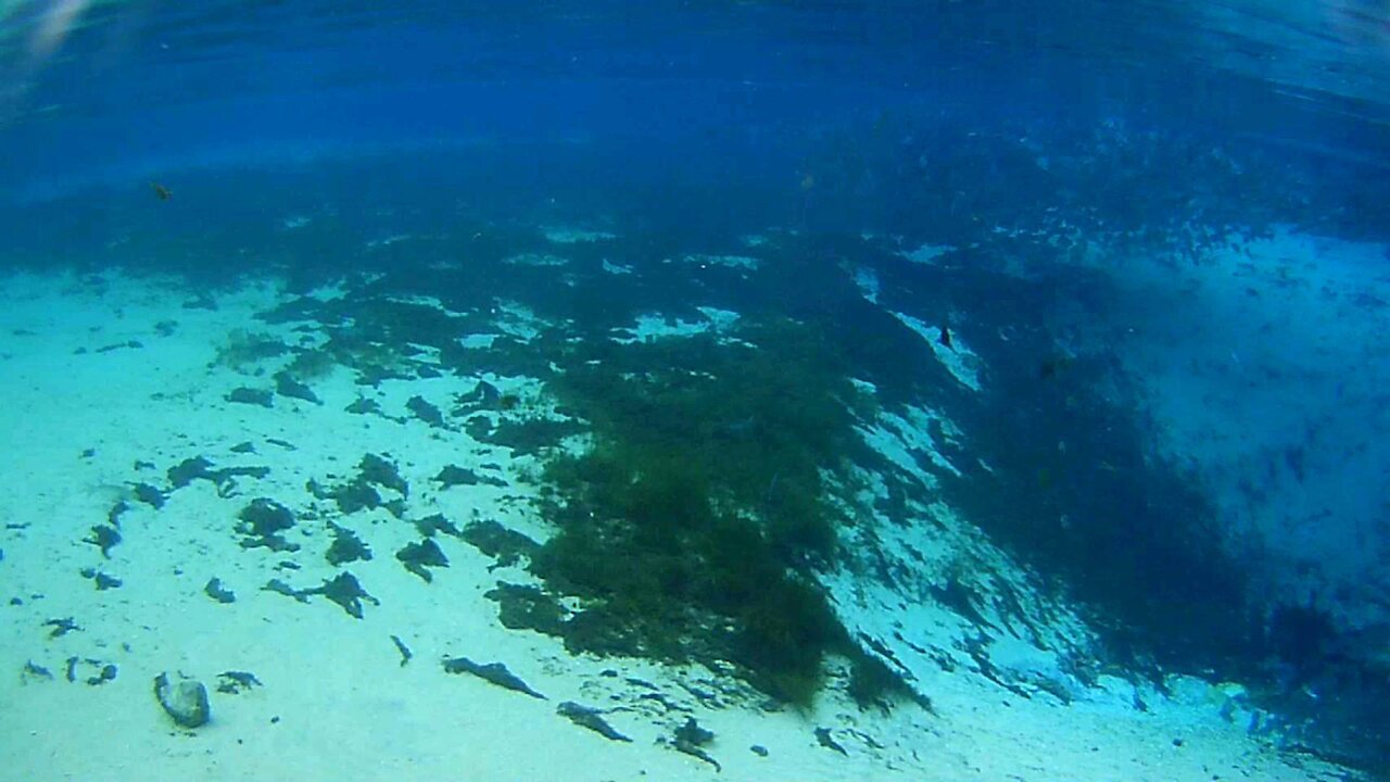 Florida Snorkeling Adventure