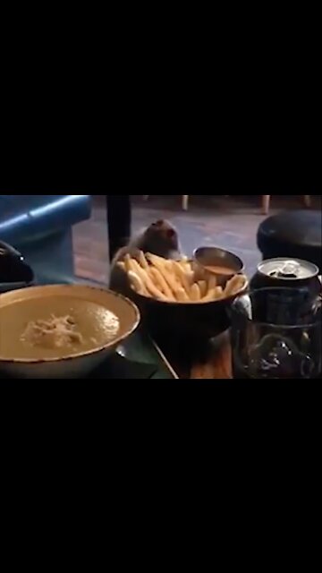 He thinks we can't see him 😂😂