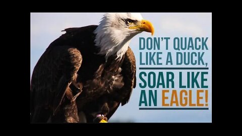 Don't quack like a duck, fly like an eagle