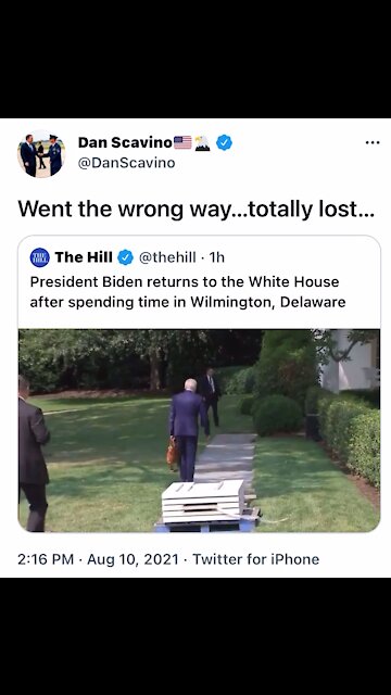 Potato Biden lost in his own house