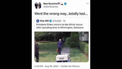 Potato Biden lost in his own house