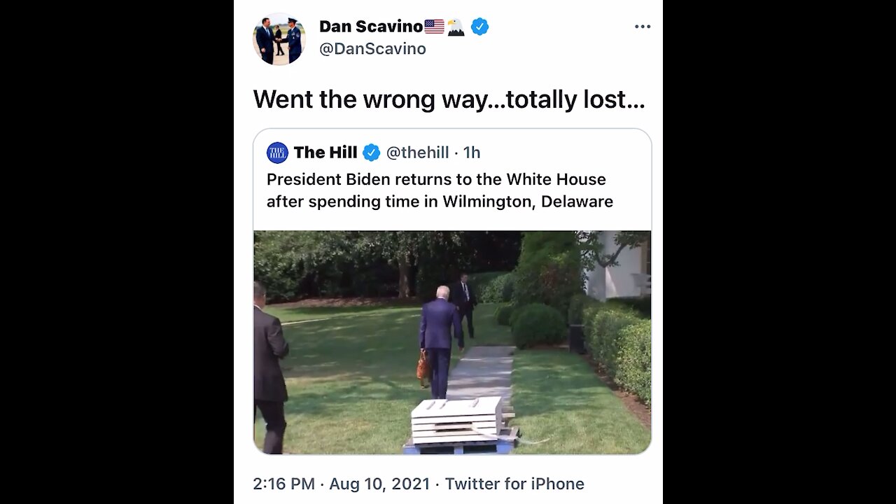 Potato Biden lost in his own house