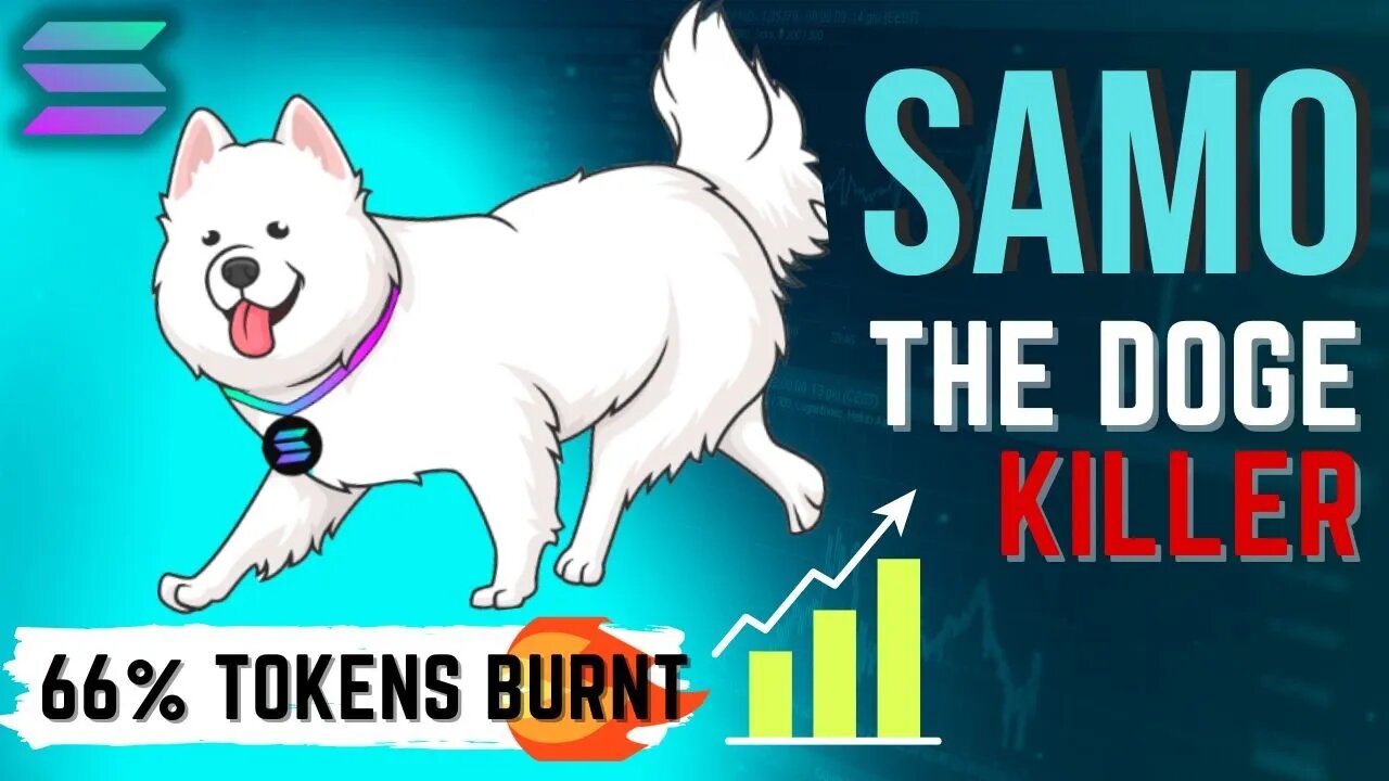 Solana built SAMO crypto is DOGE Killer | SAMO Coin race to $1 🐾