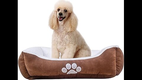 Rectangle Pets Bed