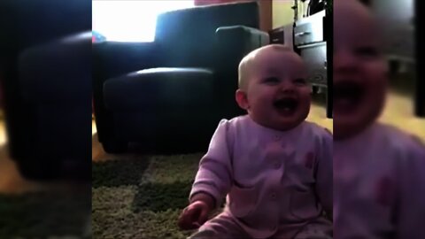the best funny viral videos of the year 2021-2022-new funny videos-try not to laugh-comedy videos