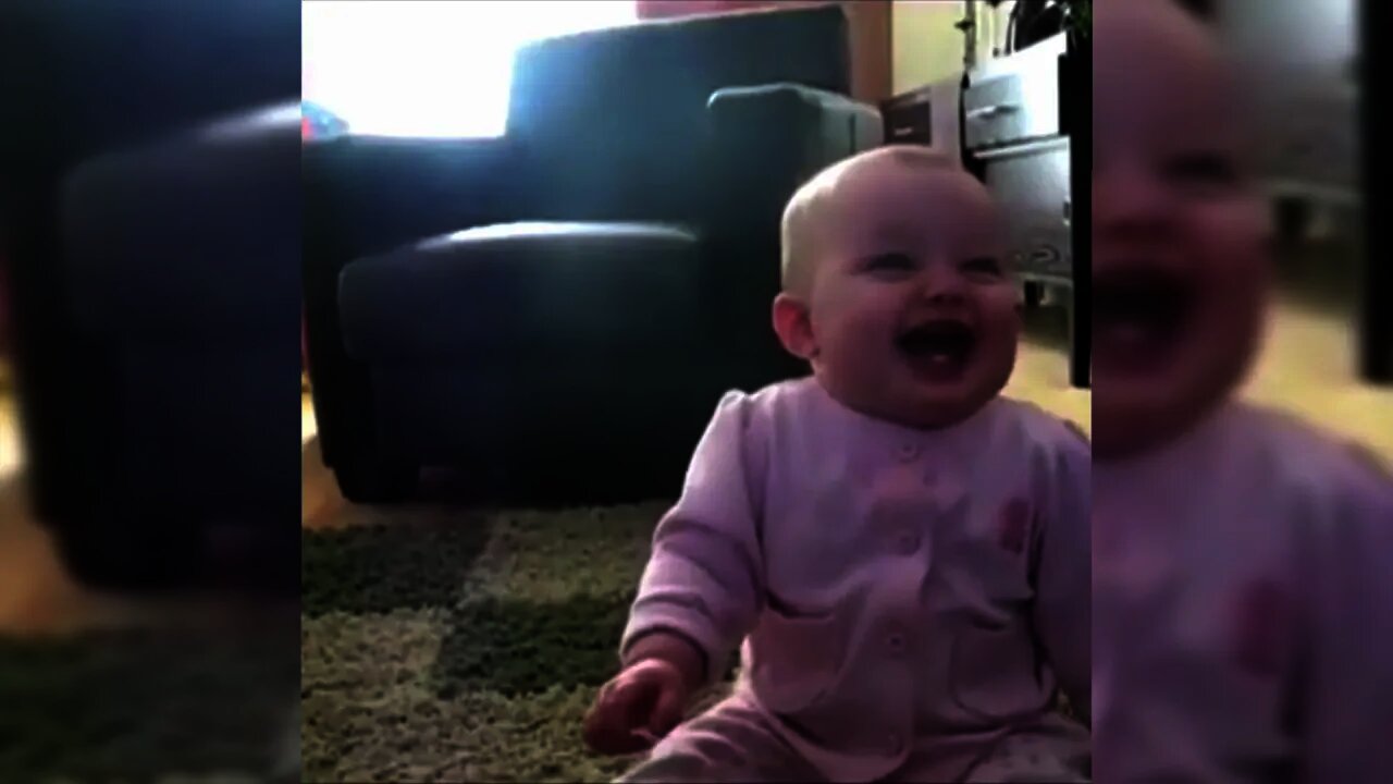the best funny viral videos of the year 2021-2022-new funny videos-try not to laugh-comedy videos