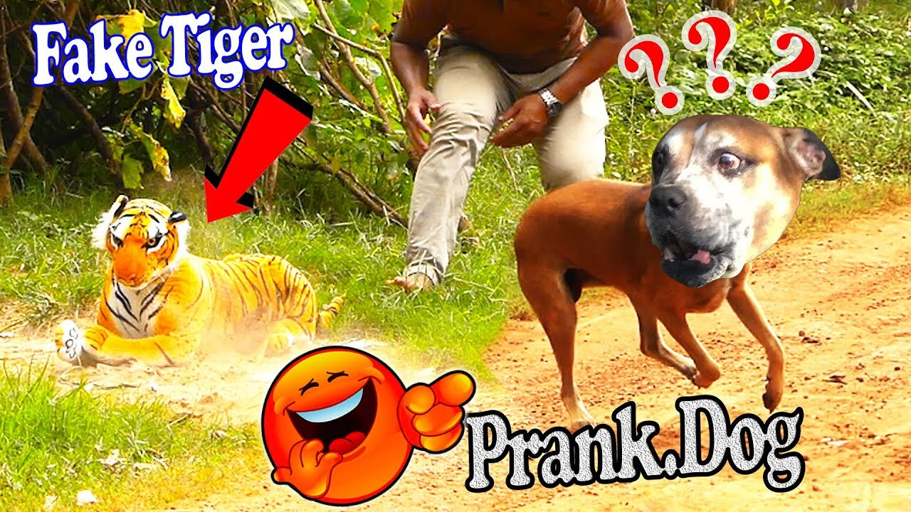 Troll Prank Dog