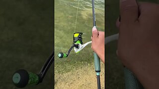 Shaky head rig works!