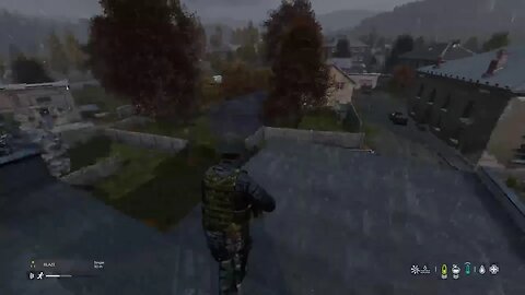 Dayz- back to Zelenogorsk