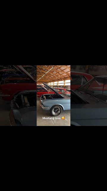 #mustang #mustanglovers #ford #fordmustang #classiccarsforsale #classicford #car #antiquecar