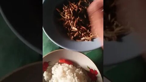 Menu Hari Ini, Ikan Teri Aga Gosong.