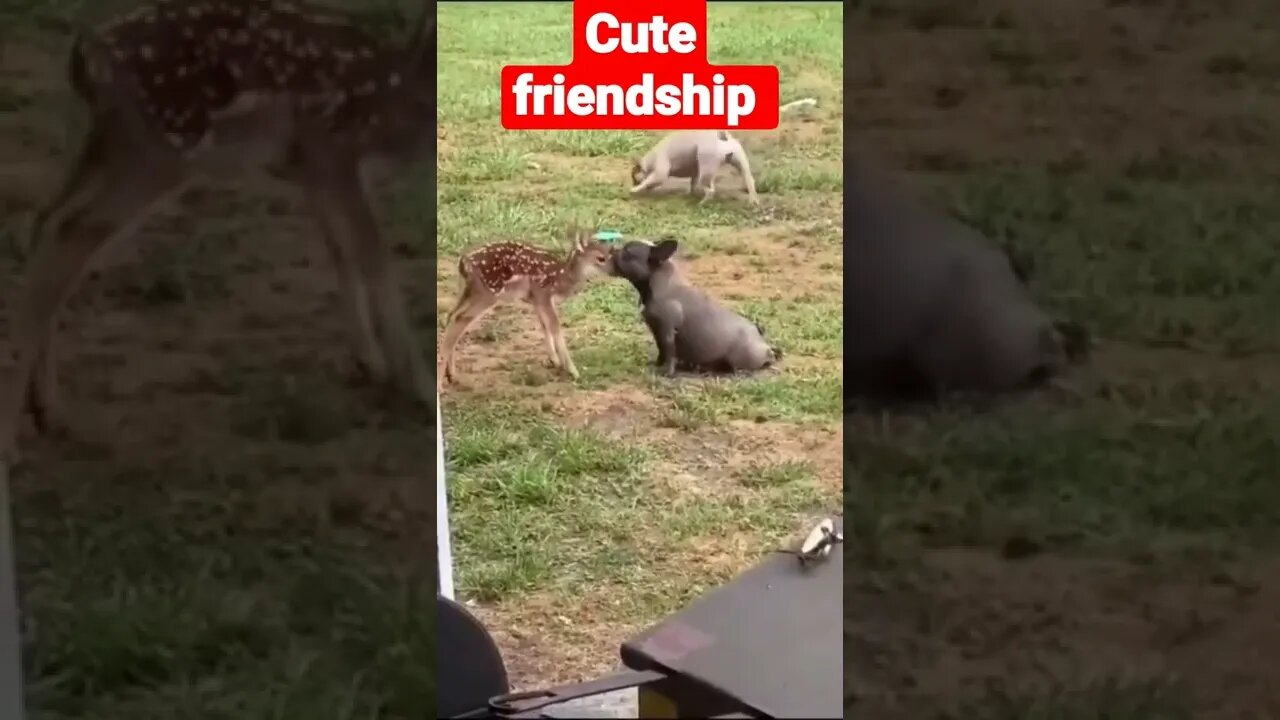 cute friendship l #short