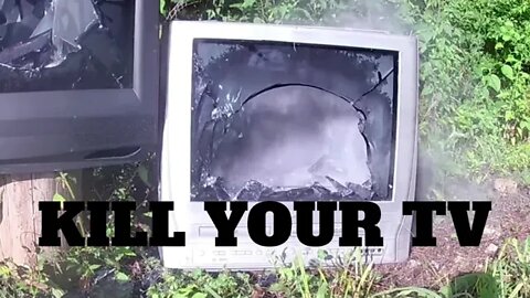 KILL YOUR TV INSTEAD OF A TURKEY!