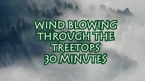 30 minutes of Wind Blowing Through The Treetops