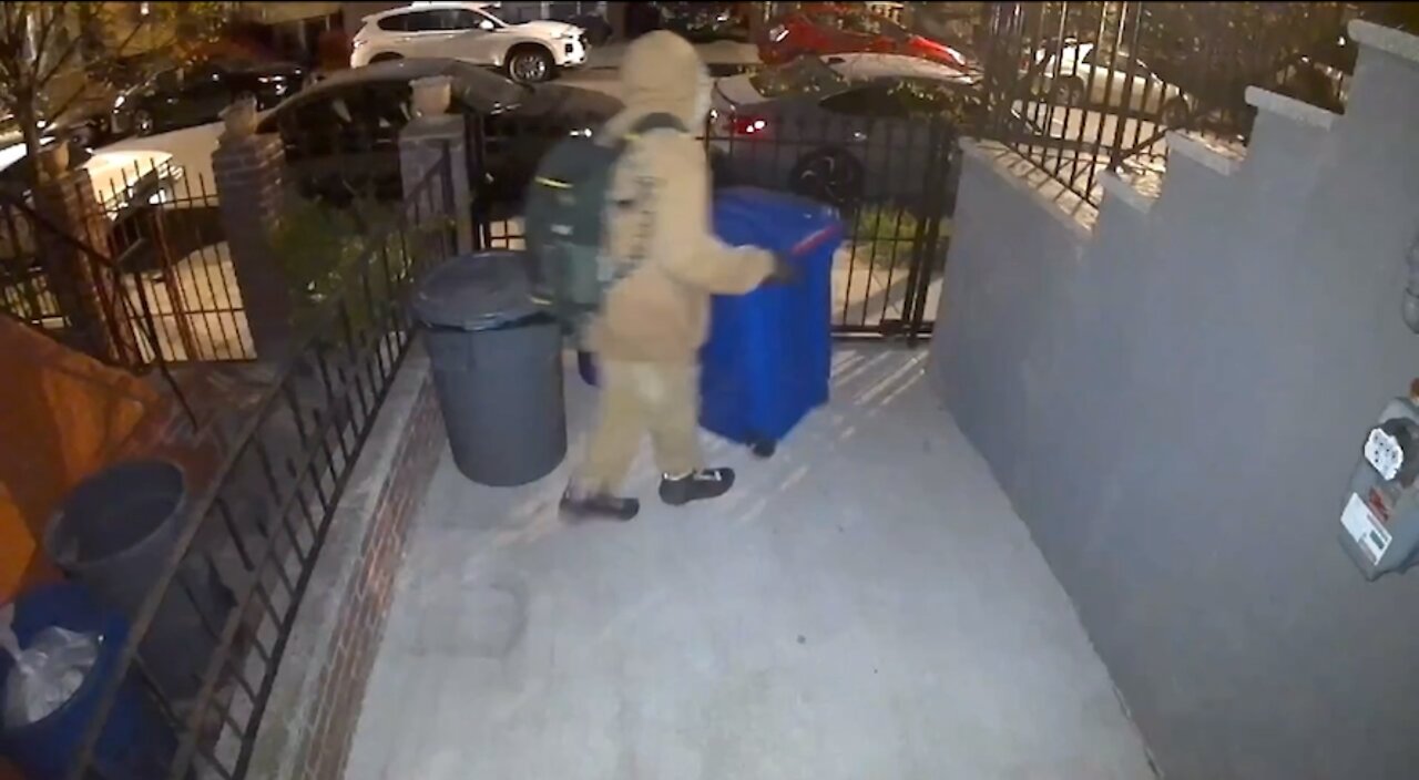 Brooklyn Bin Thief