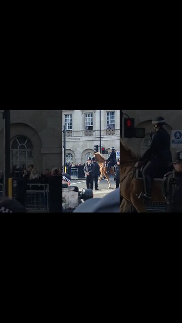 Royal Horse's and police horse kings Charles ceremony #horseguardsparade