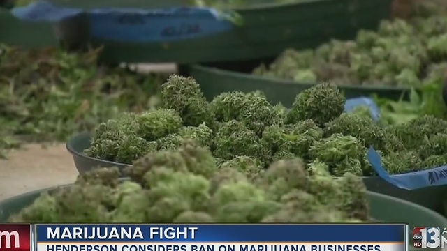 Henderson considers moratorium on marijuana businesses