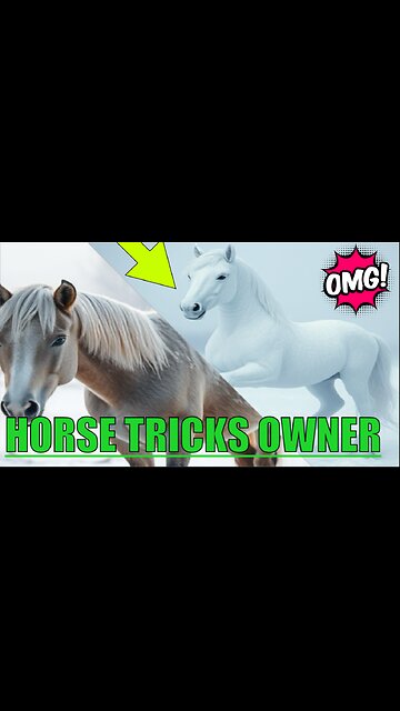 Frozen Horse Plays Hilarious Trick on Owner(RANDOM)