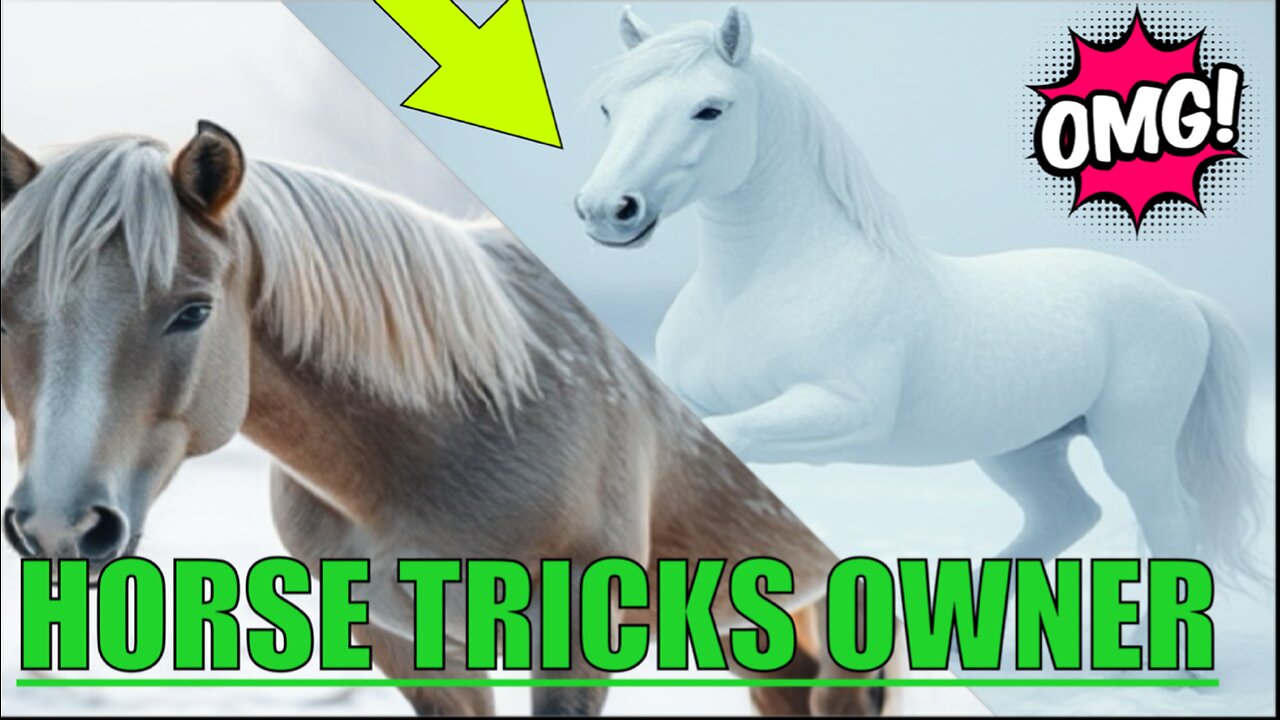 Frozen Horse Plays Hilarious Trick on Owner(RANDOM)