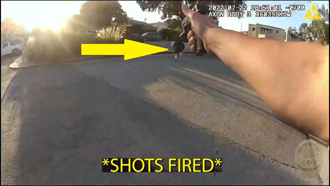 Body cam shooting- police MAG DUMP on man with gun LAPD Bodycam Lino Soltero fatal shoot Los Angeles