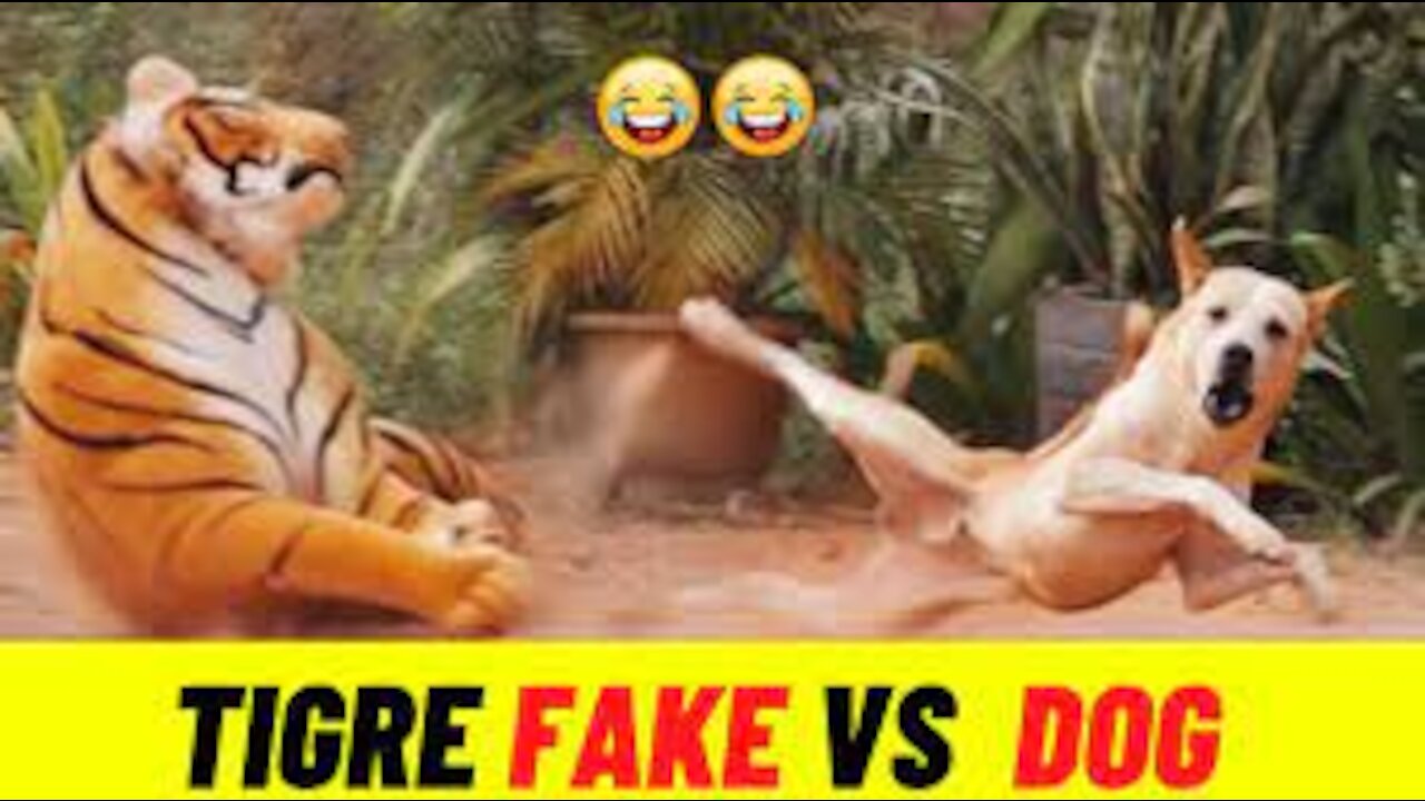 fake tiger prank dog funny vídeo 2021