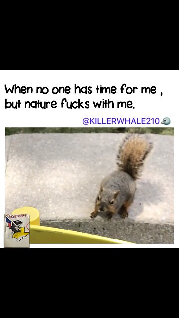Squirrel is my buddy