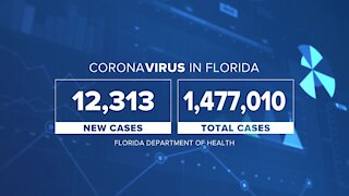 January looking to be deadliest of the pandemic