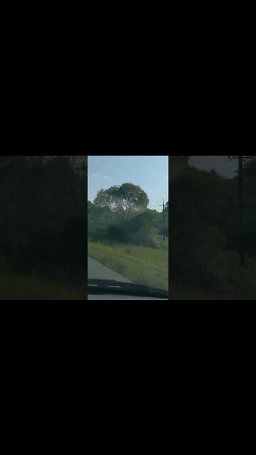 29 червня 2023 р.