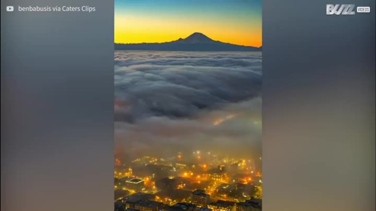 Un incroyable time-lapse de Seattle à l'heure de pointe