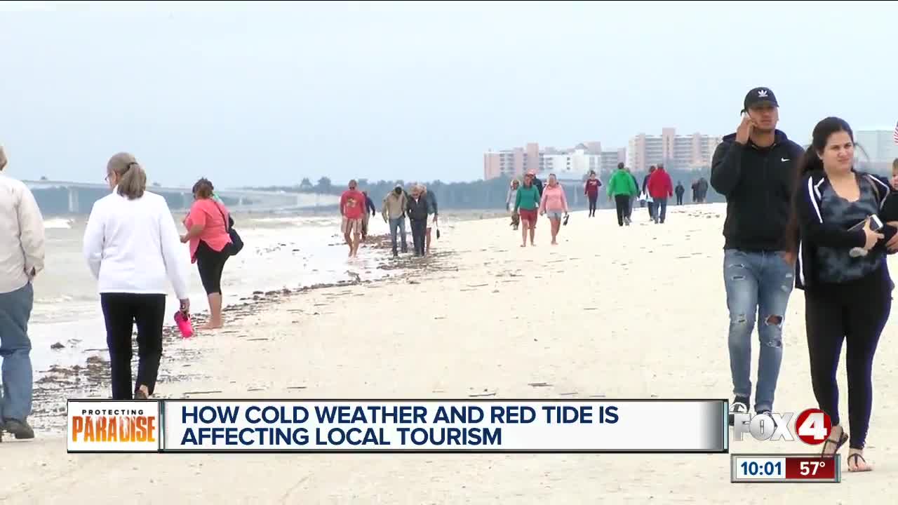 Colder temperatures and red tide levels may have an affect on snowbird season