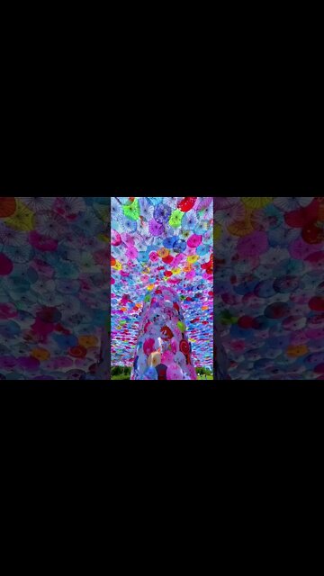 Umbrella Tree 😍😱 #umbrella #shorts #whatsapp_status