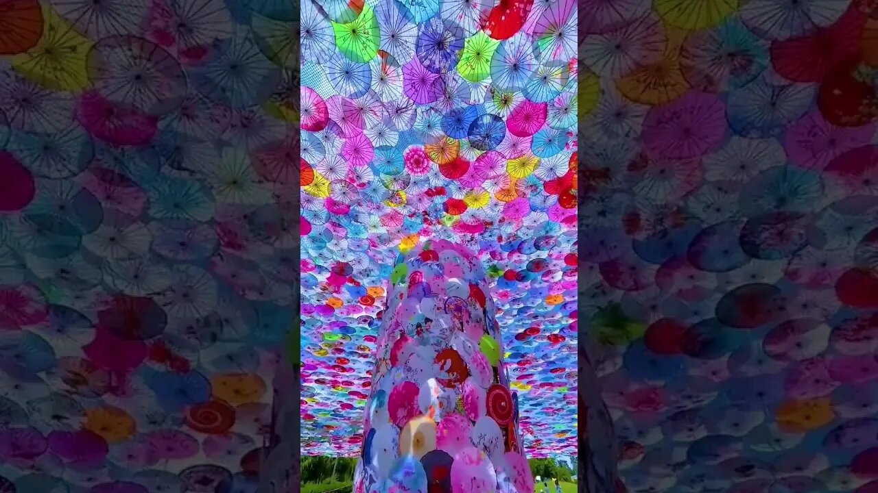 Umbrella Tree 😍😱 #umbrella #shorts #whatsapp_status