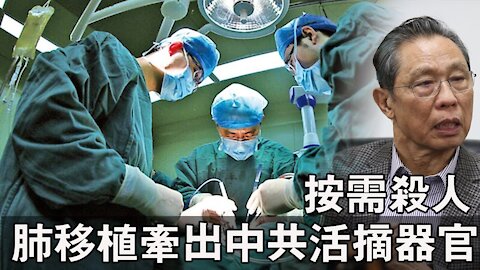 肺移植牵出中共活摘器官按需殺人 钟南山也牵涉其中