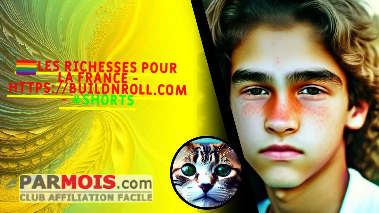 🏳️🌈 Les richesses pour la France - https://BuildNRoll.com - #shorts