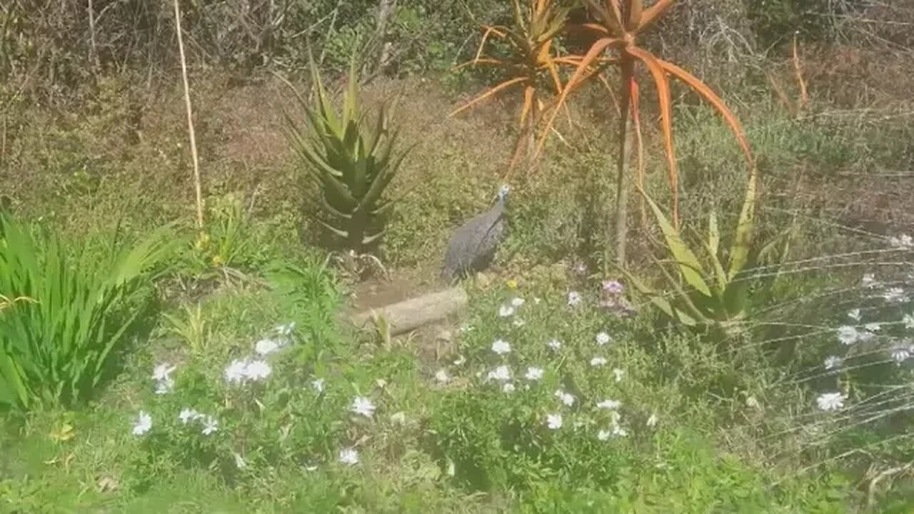 Slight change and a redo