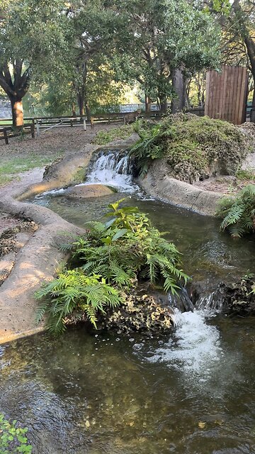 NATURALEZA| GOPALEJO #gopalejo