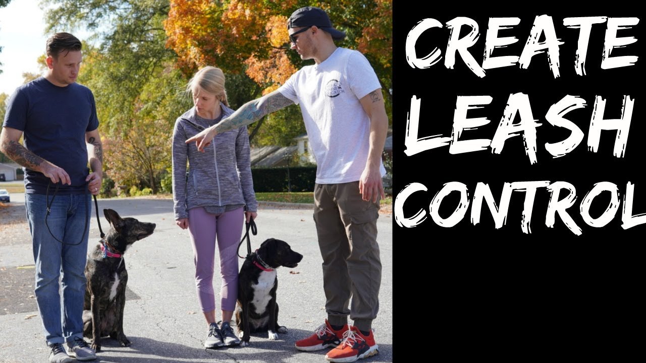 How to teach any dog to stop pulling and walk nicely on a loose leash!