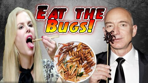 Eat the Bugs!