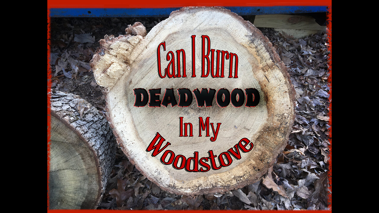 Can You Burn Deadwood In Your Stove Or Fireplace?