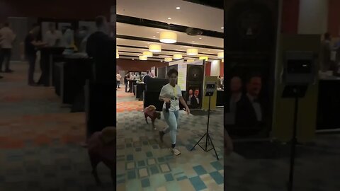 Bitcoin Energy Summit model of a 1 day event!