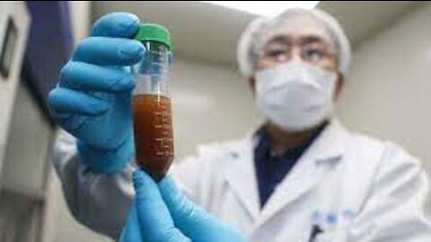 Chinese Scientists Planned to Release Coronaviruses into Bats 18 Months Before Pandemic