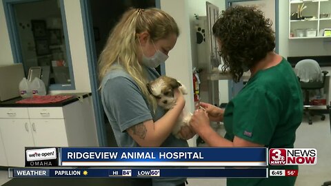 We're Open Omaha: Ridgeview Animal Hospital