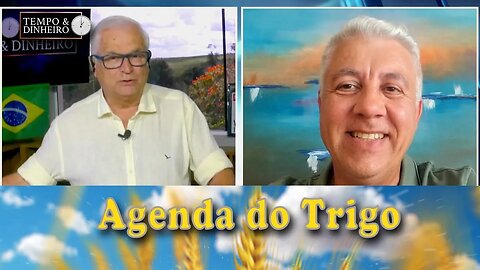 Debroker - Agenda do Trigo