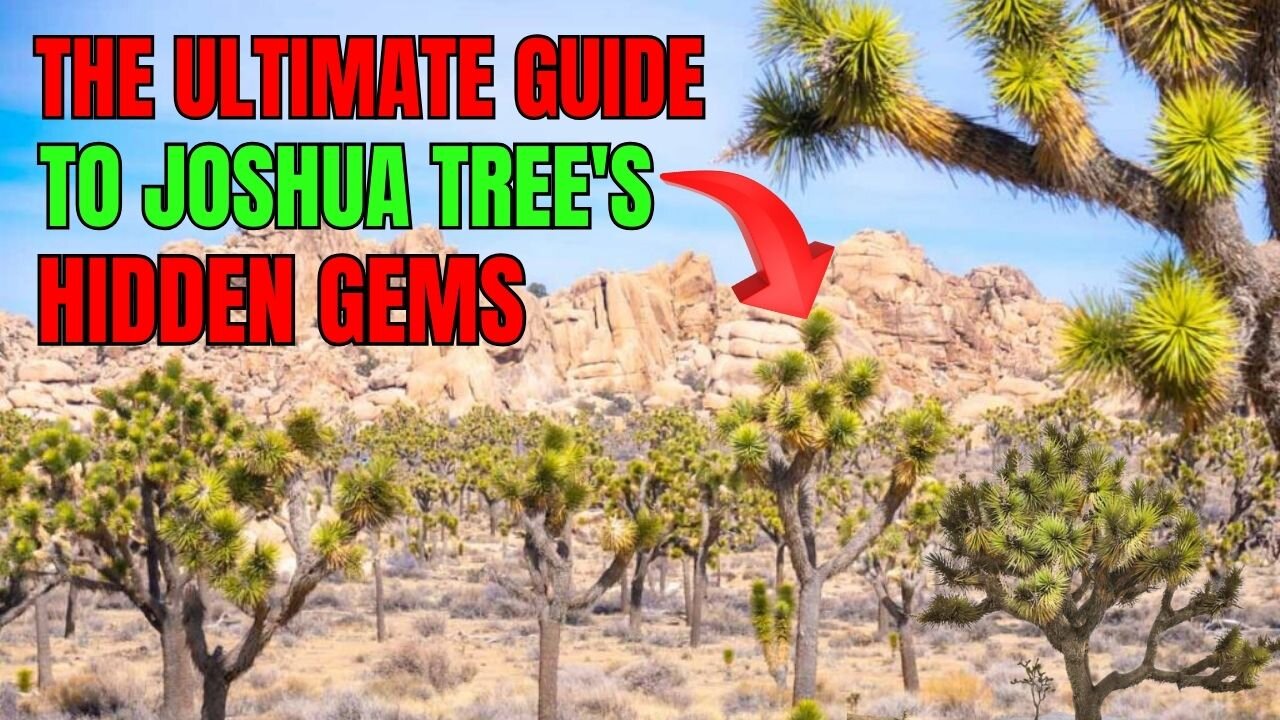 The Ultimate Guide to Joshua Tree's Hidden Gems